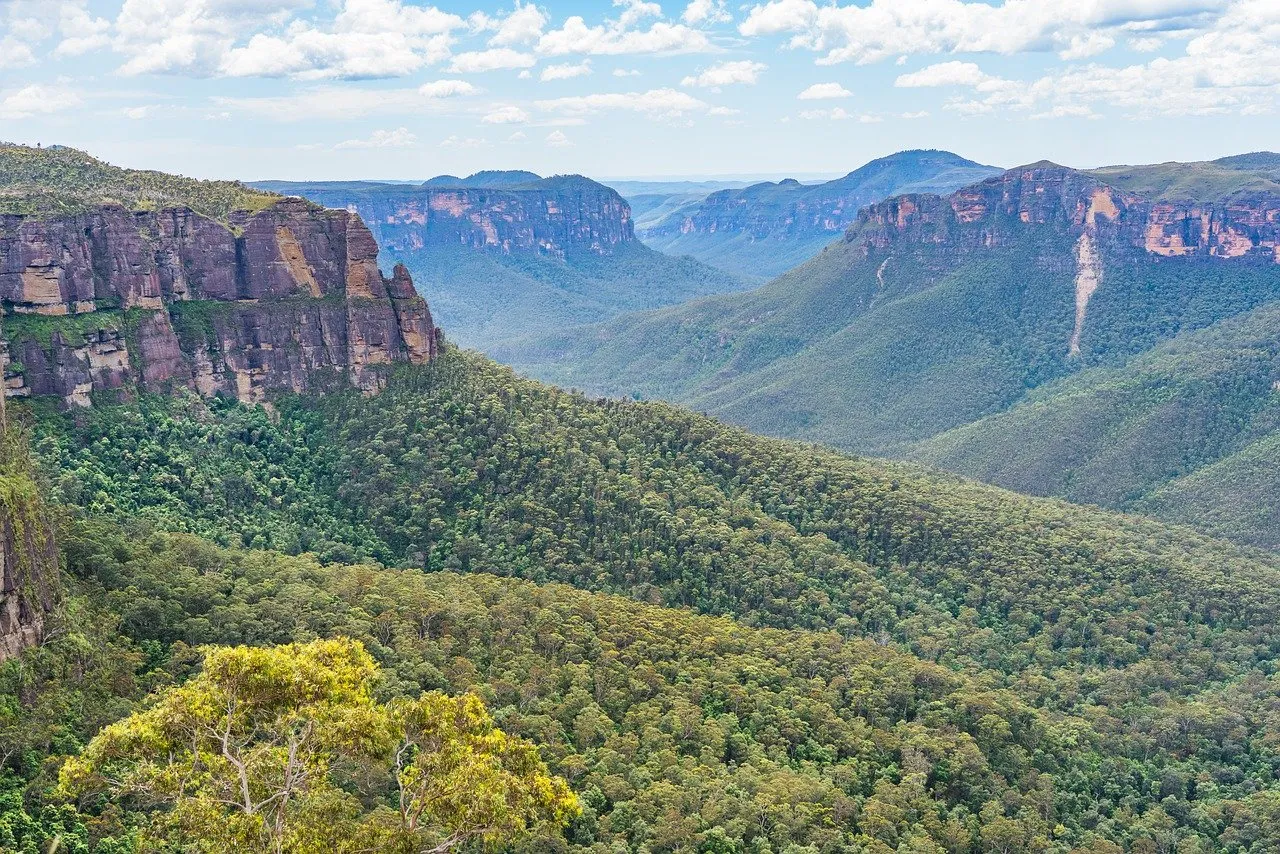 Breathtaking Blue Mountains Vista: A Journey Through Australian Wilderness