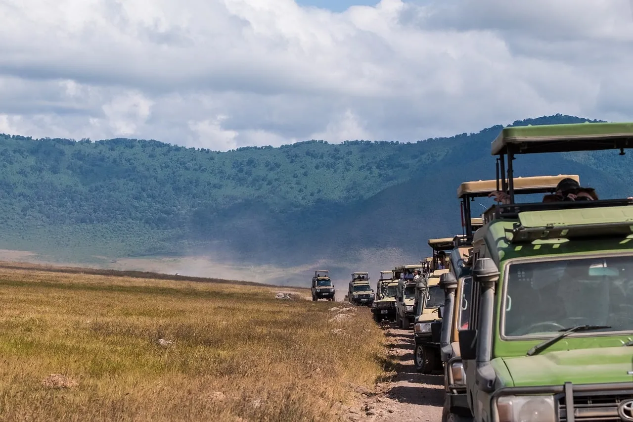 Thrilling Safari Expedition: Ngorongoro Crater Adventure