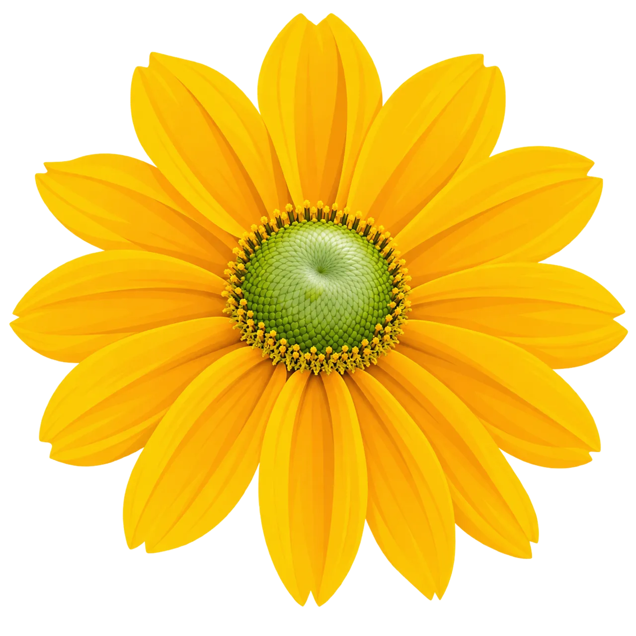 Dazzling Golden Coneflower: A Vibrant Blossom of Summer