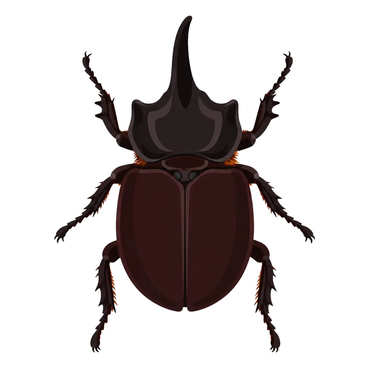 Magnificent Rhinoceros Beetle Illustration: Nature's Armored Jewel