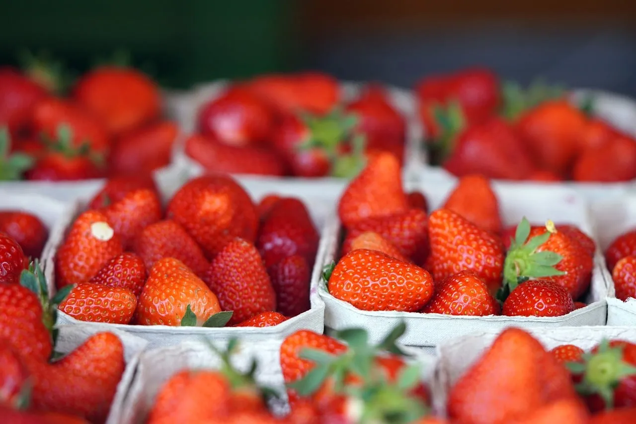 Vibrant Summer Delight: Freshly Picked Organic Strawberries