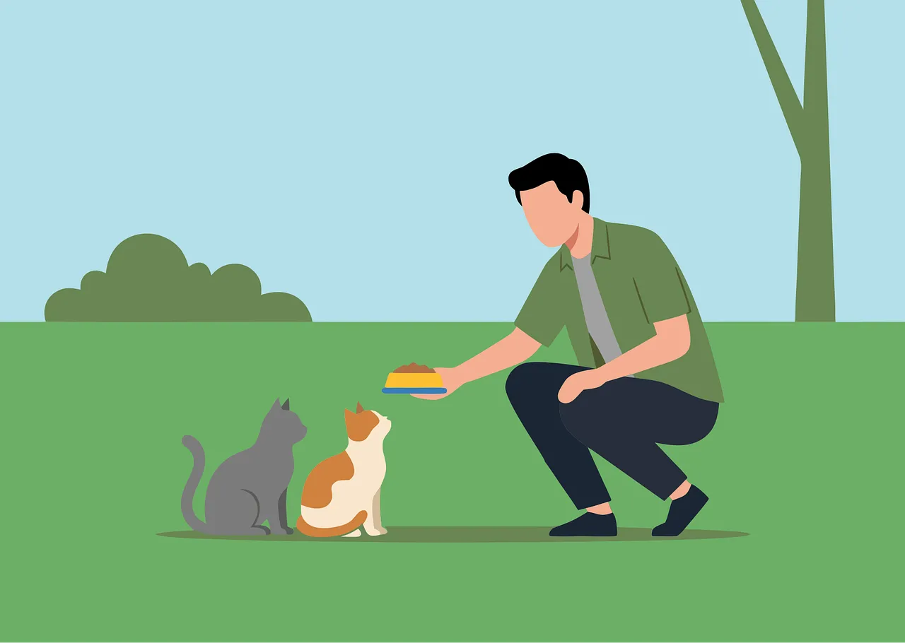 Heartwarming Moment: Man Feeding Cats in a Serene Park