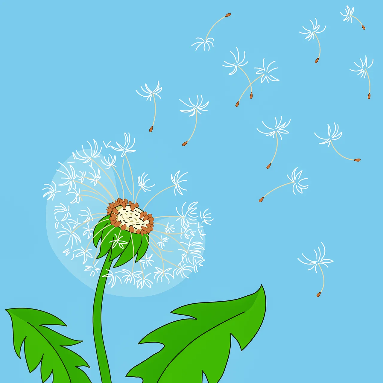 Breezy Dandelion Seeds Taking Flight in Summer Blue
