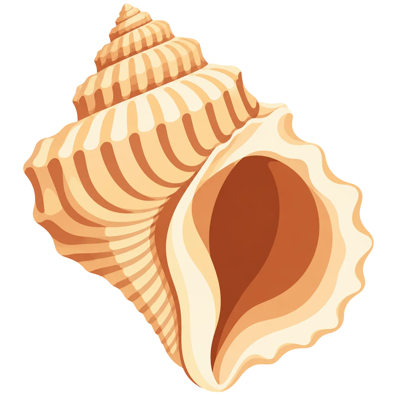 Stunning Spiral Seashell: A Natural Coastal Treasure