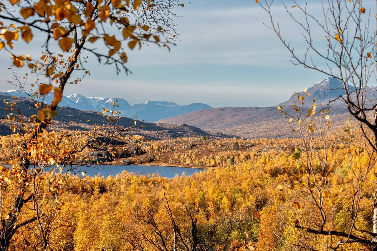 Breathtaking Autumn Mountain Landscape: Golden Forests & Serene Lake