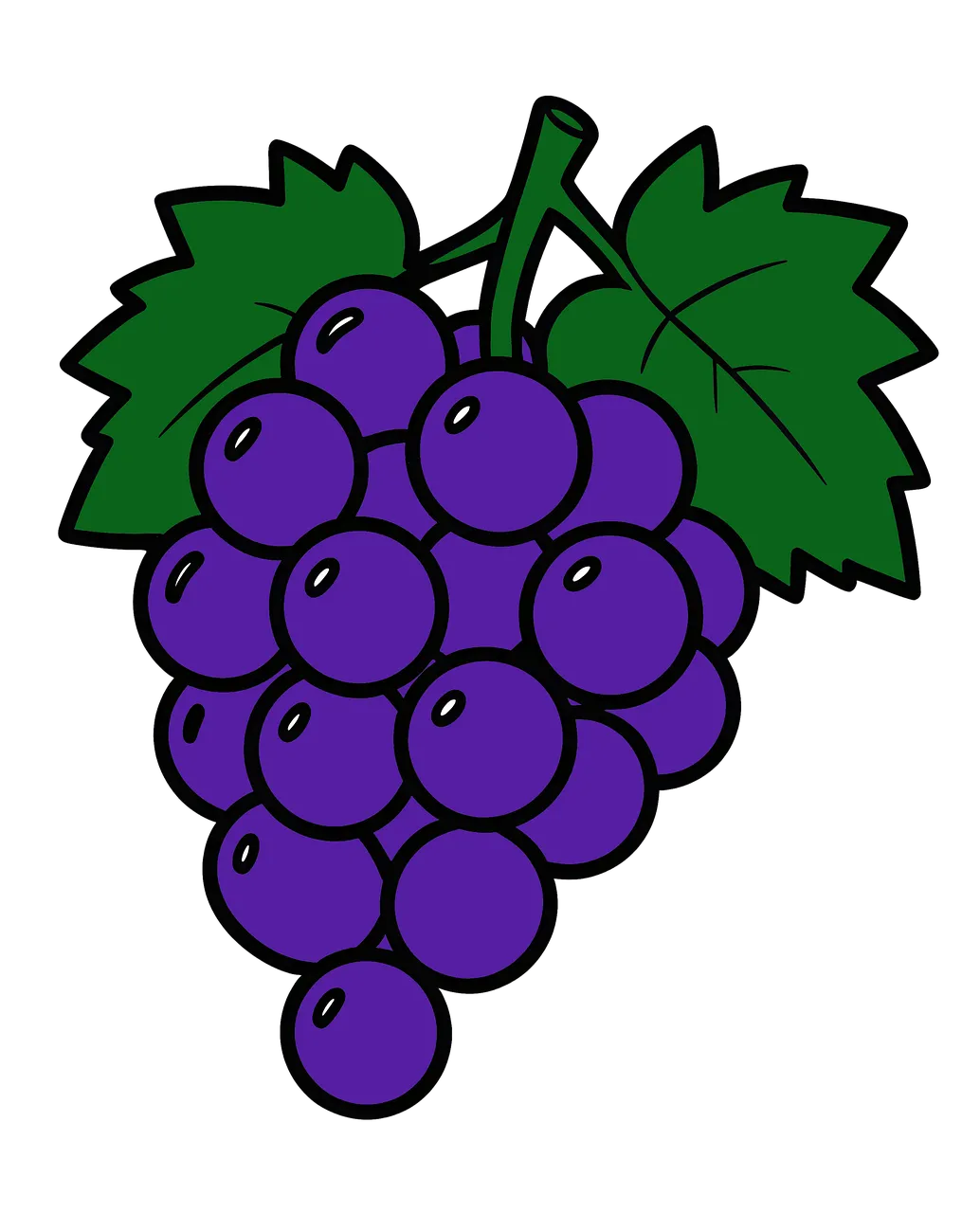 Vibrant Purple Grapes: Juicy Freshness in Line Art
