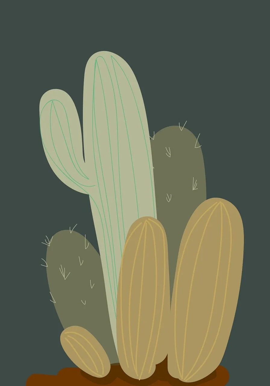 Minimalist Botanical Cactus Art: Modern Boho Charm