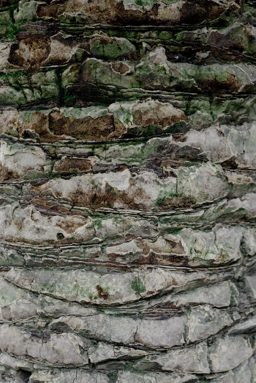 Rustic Bark Textures: Aged Wood Grains and Natural Patterns