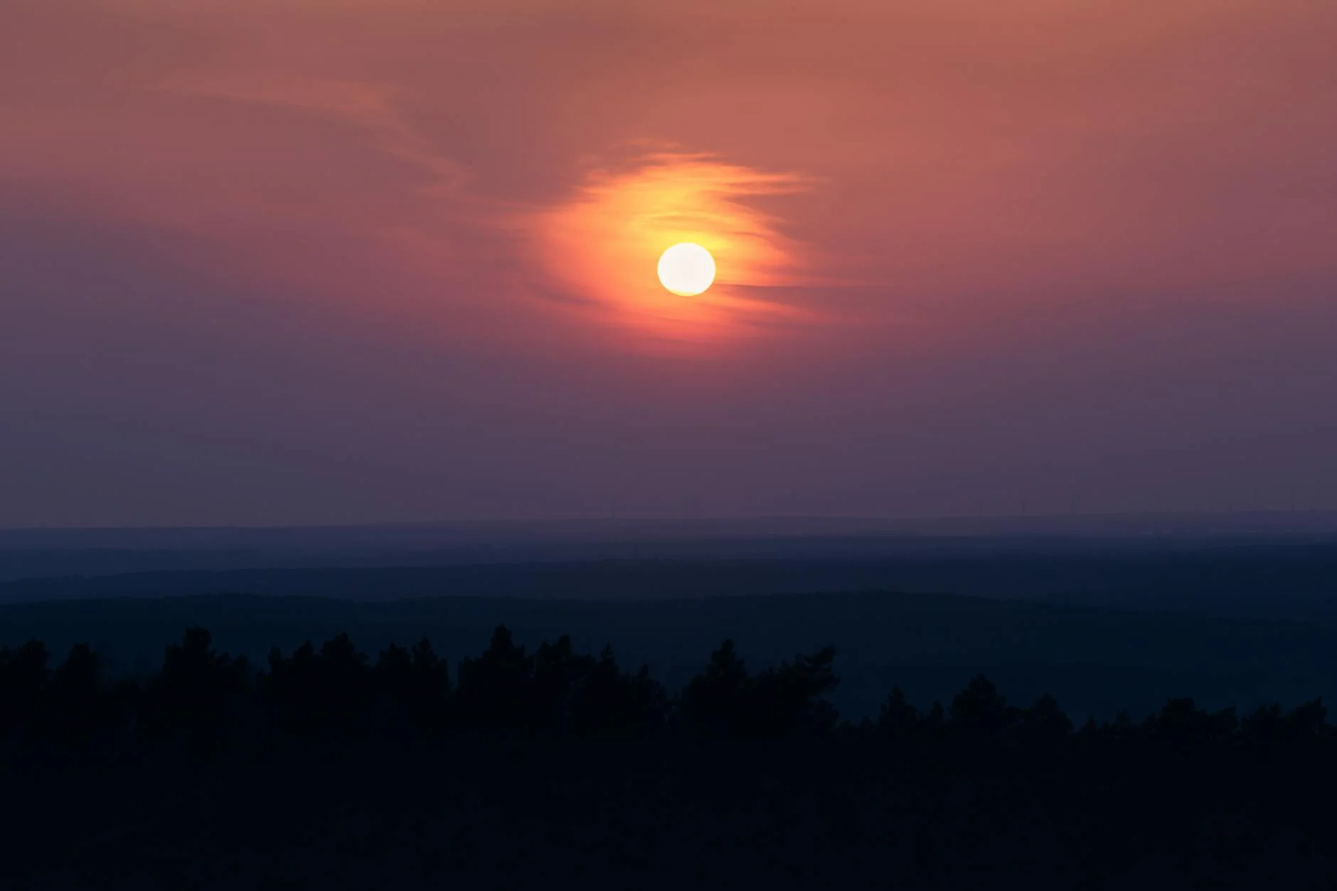 Breathtaking Sunset over a Silhouetted Forest