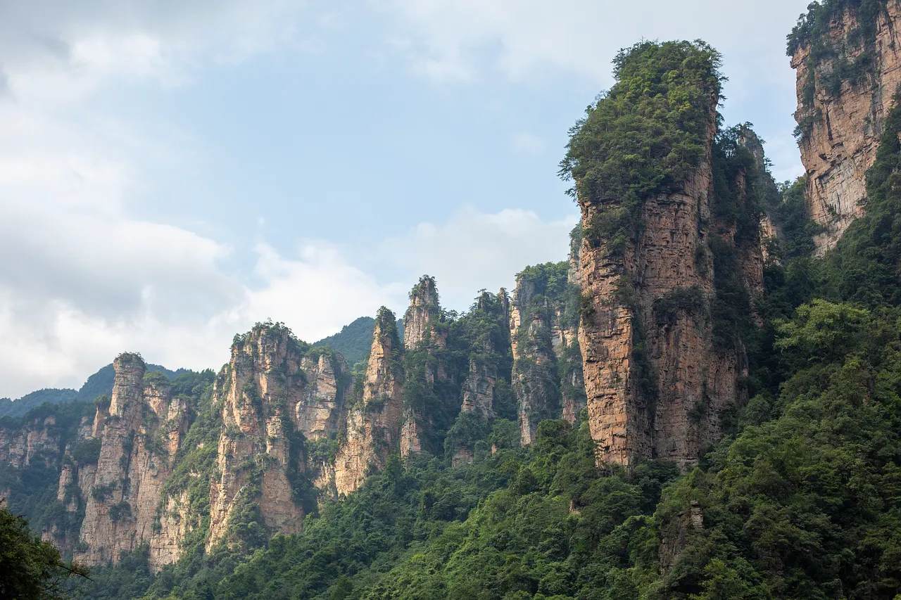 Majestic Peaks: Zhangjiajie's Towering Forest Panorama