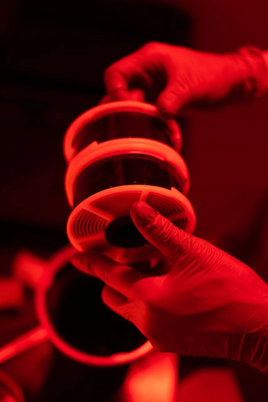 Darkroom Magic: Developing Film Under Red Light