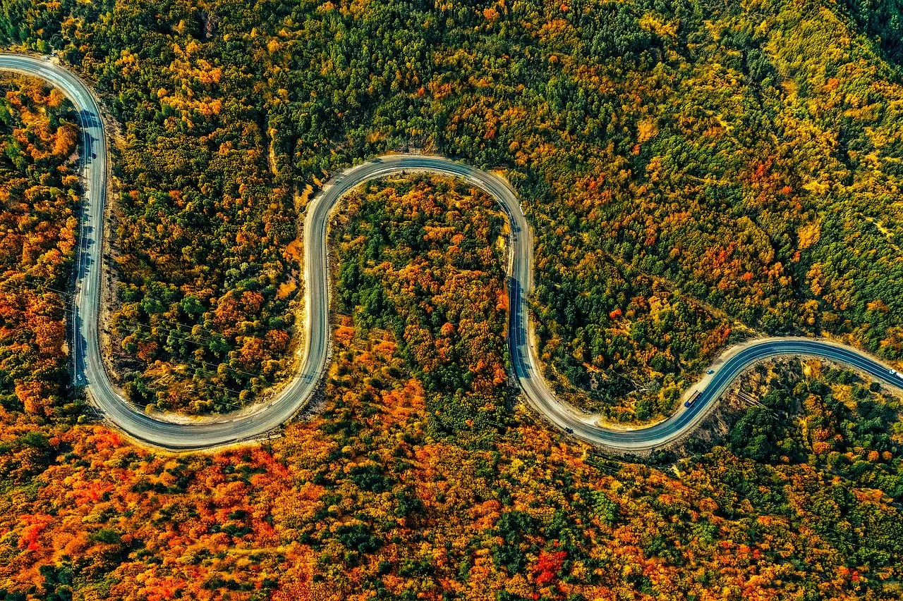 Breathtaking Autumn Road Meandering Through Vibrant Forests