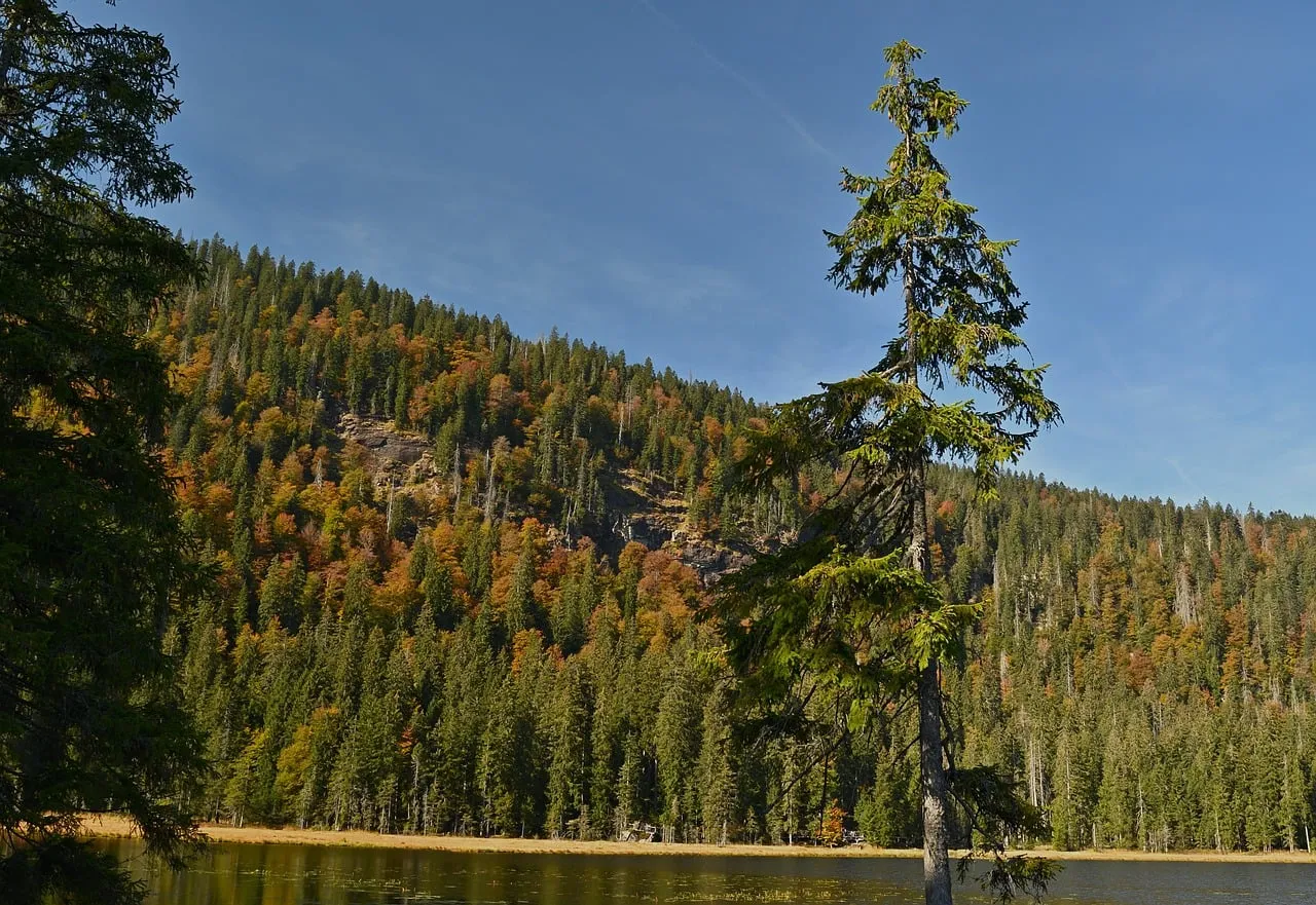 Breathtaking Autumn Lake: Serene Mountain Wilderness Retreat