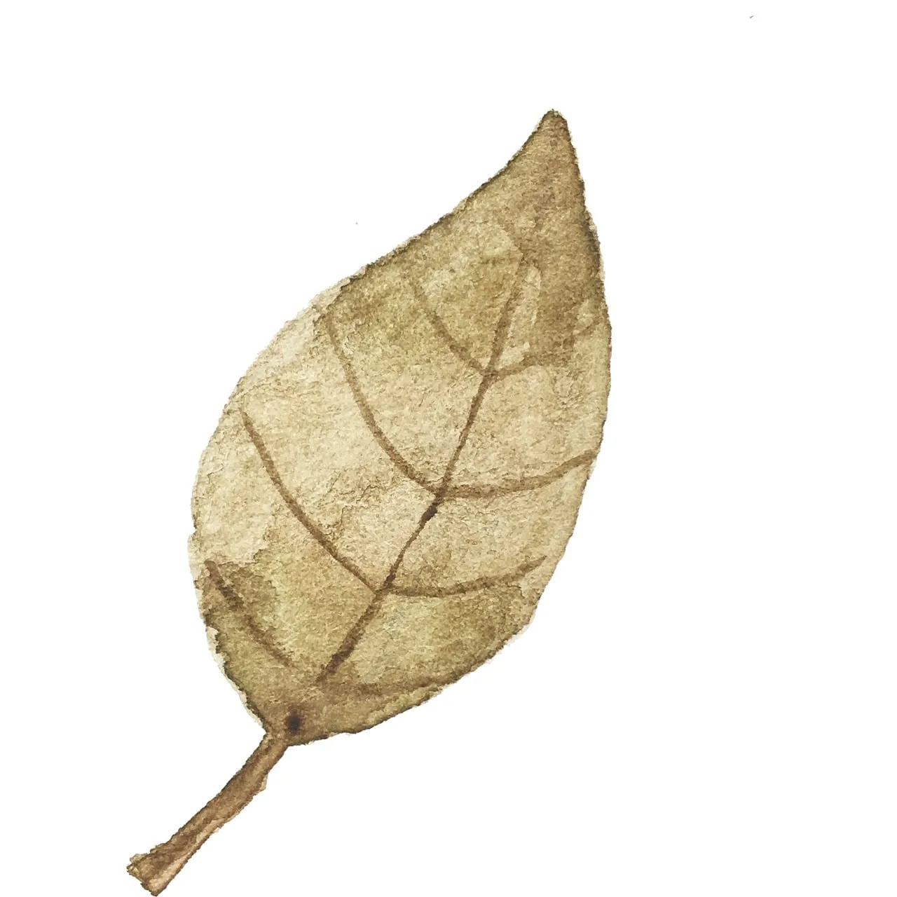 Rustic Watercolor Leaf: Serene Autumnal Art
