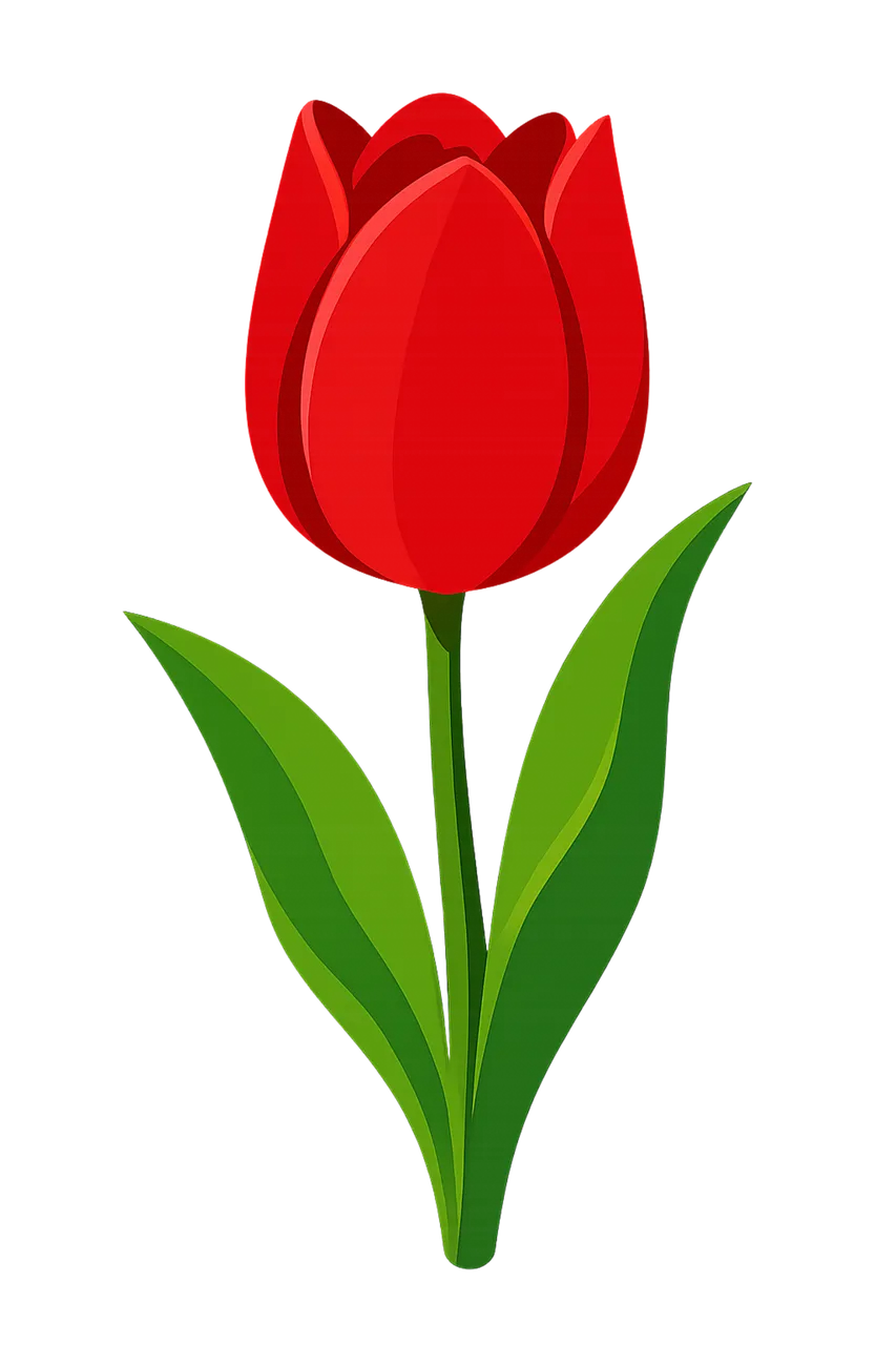 Vibrant Red Tulip: Minimalist Spring Botanical Illustration