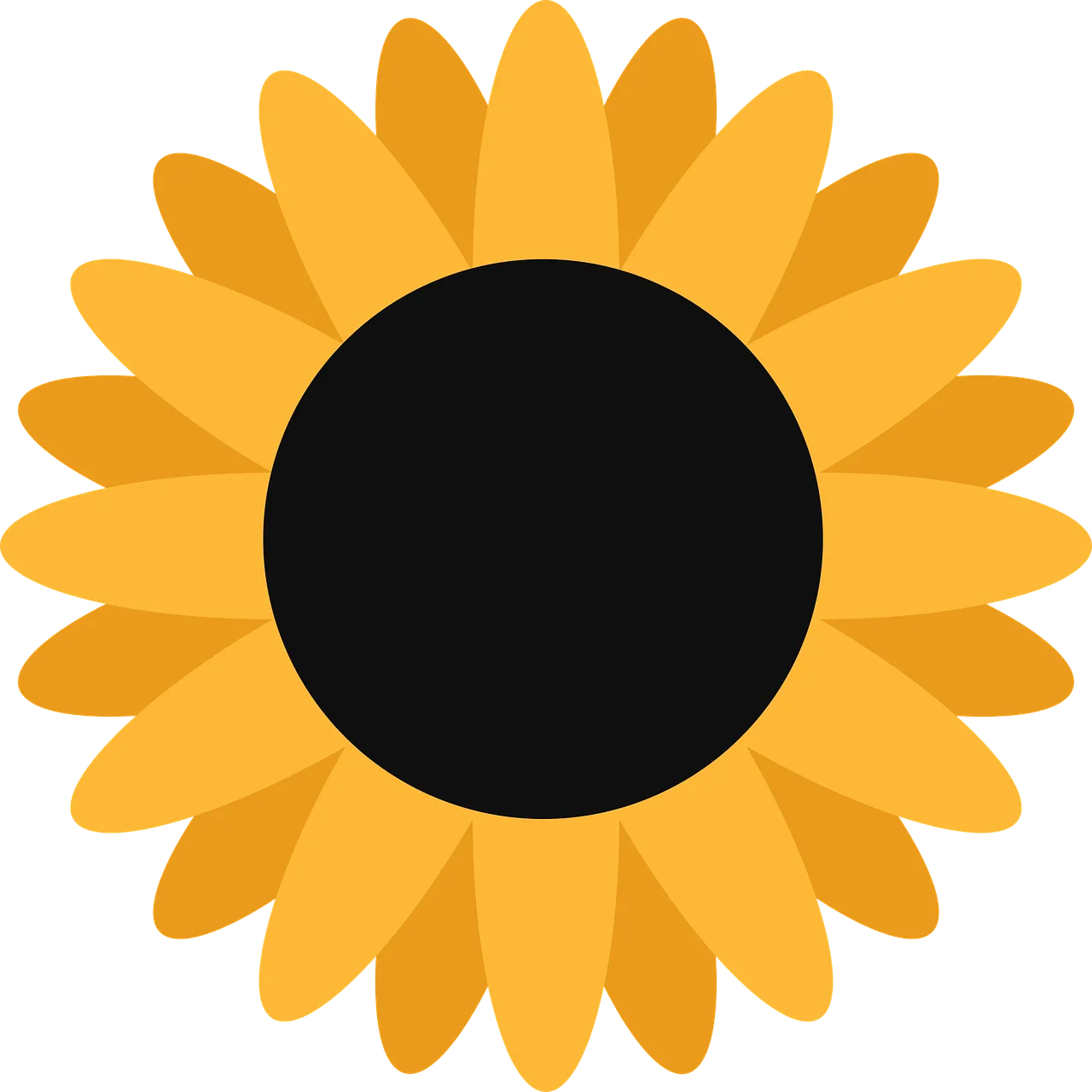 Vibrant Minimalist Sunflower: A Touch of Summer Sunshine