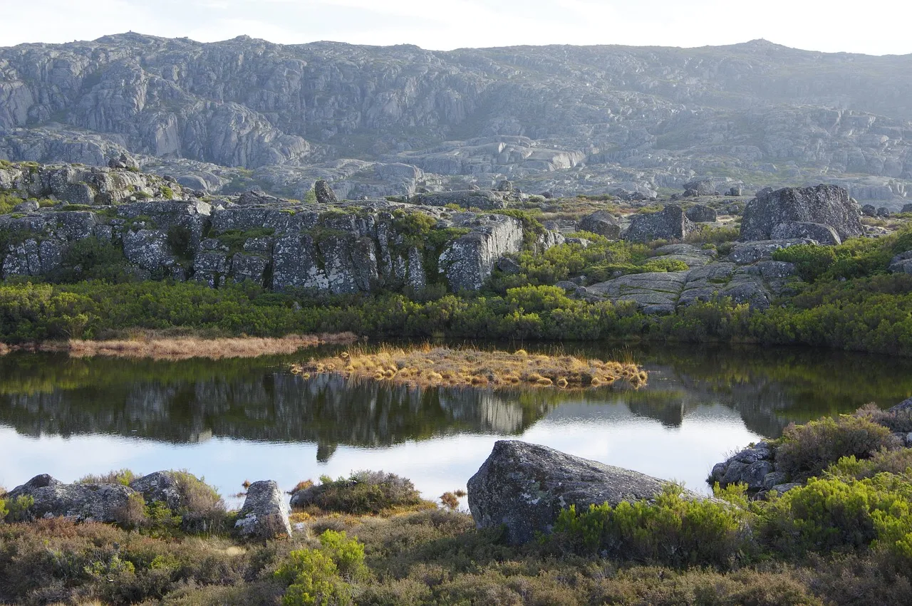 Serene Mountain Lake Reflecting Autumn's Untamed Beauty