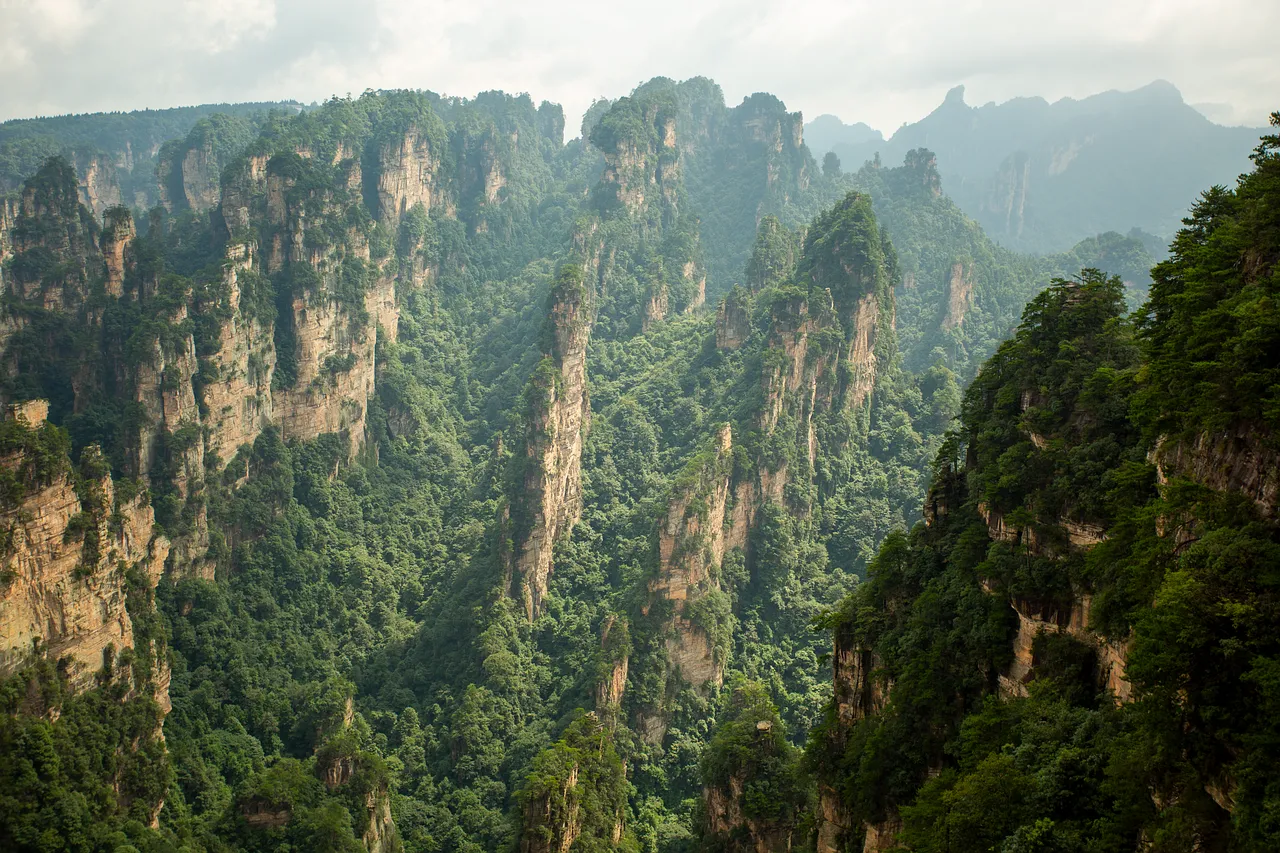 Majestic Zhangjiajie: China's Iconic Cloud-Kissed Peaks