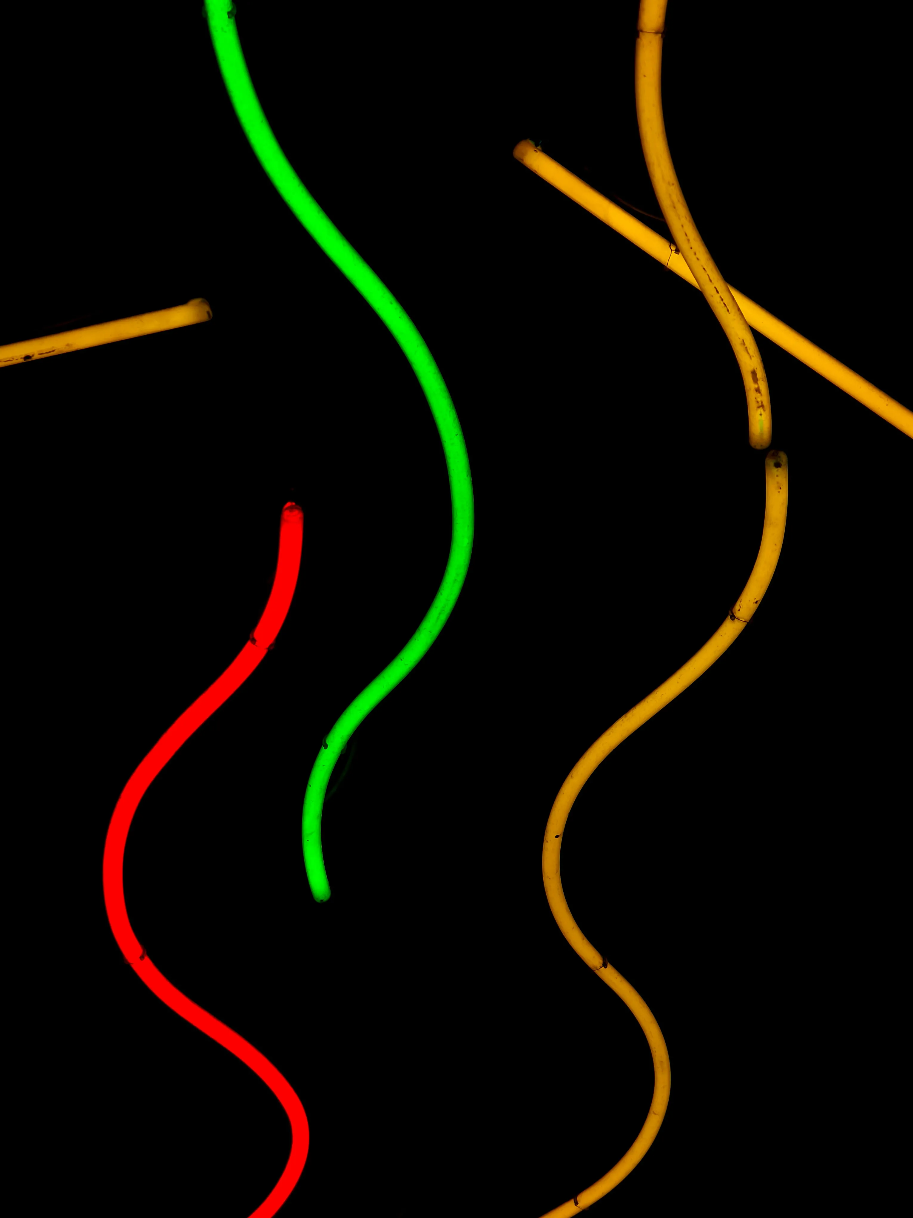 Vibrant Neon Tubes: Dynamic Colorful Lights on Black