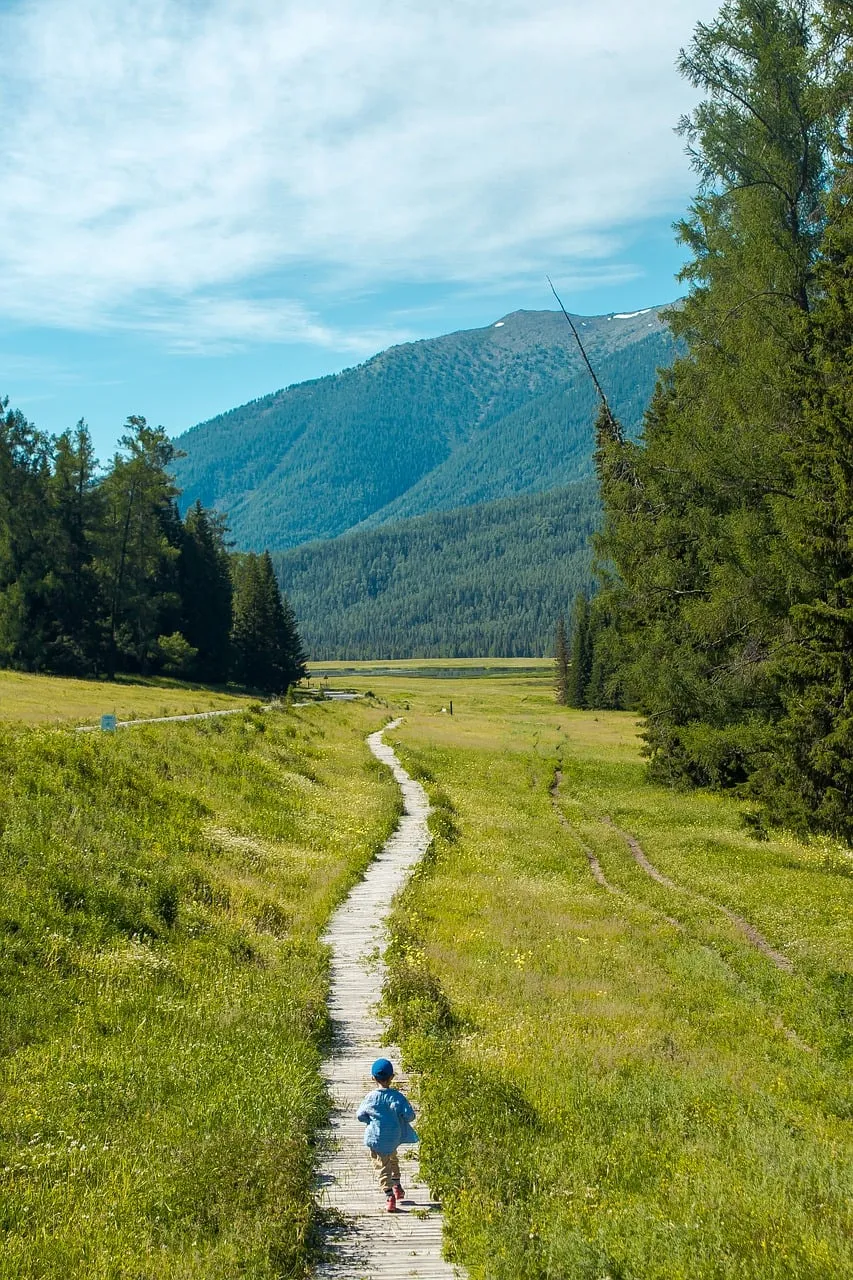 Enchanting Mountain Trail: Child's Summer Adventure