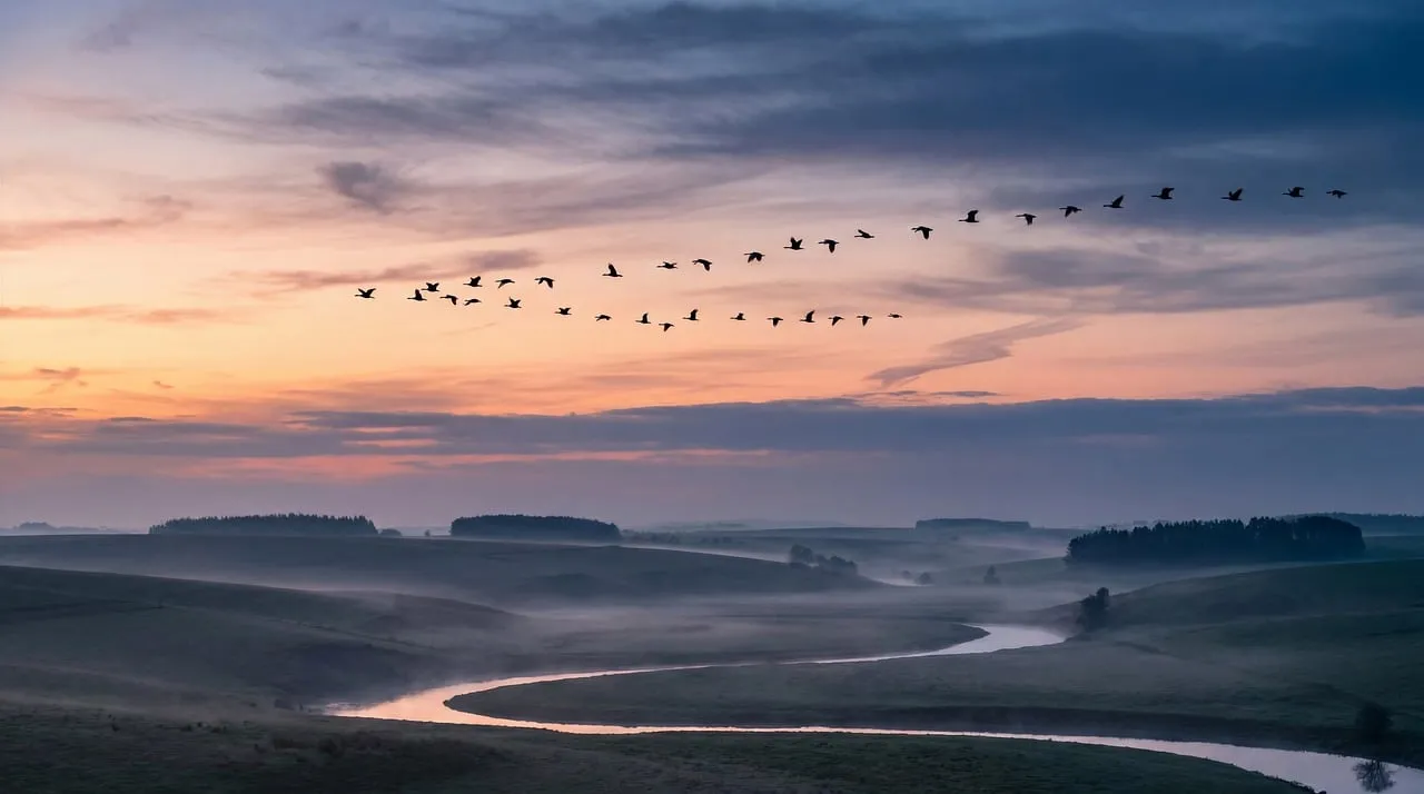 Breathtaking Sunset: Birds Soaring Over Misty River Landscape