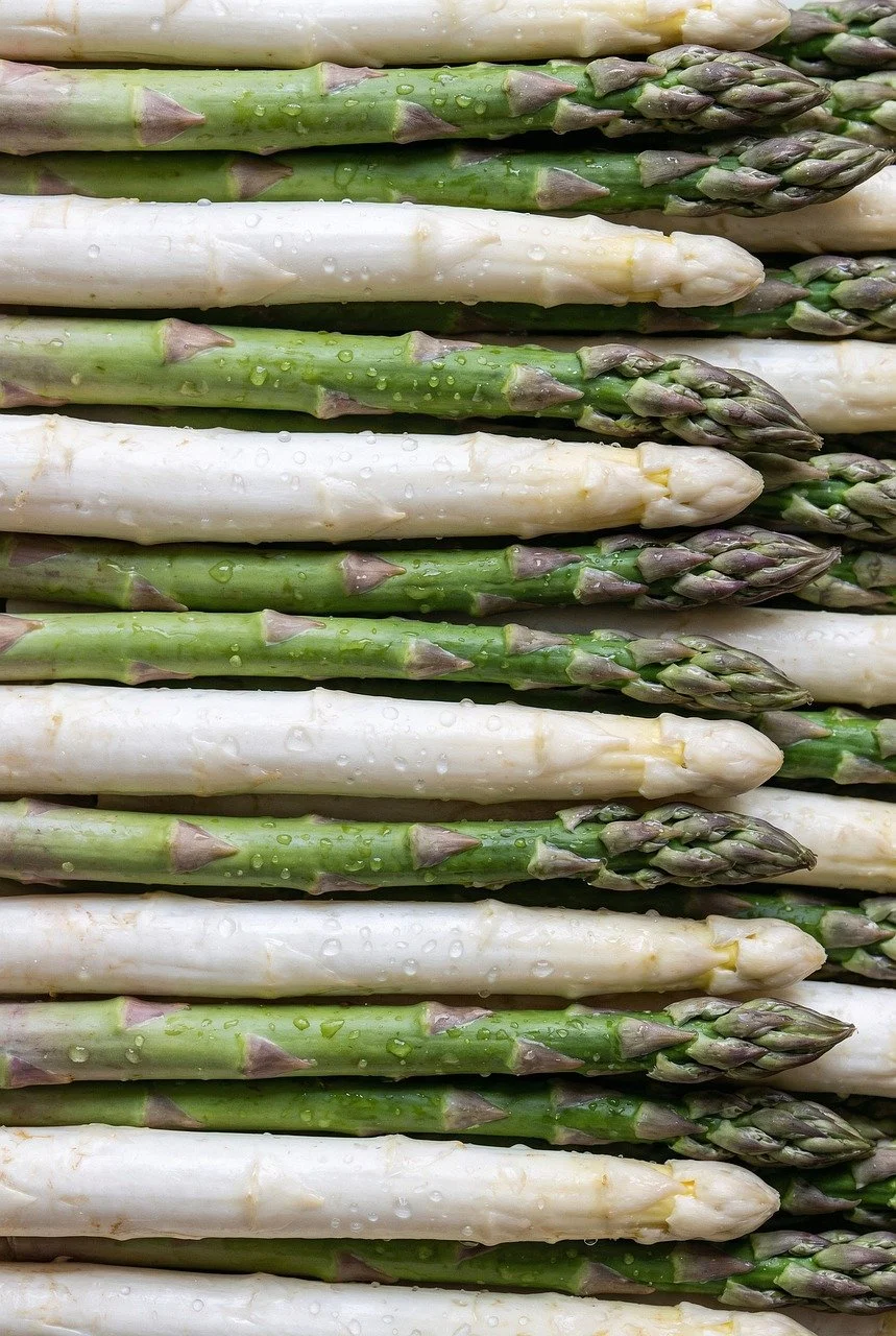 Freshly Harvested White and Green Asparagus Delight