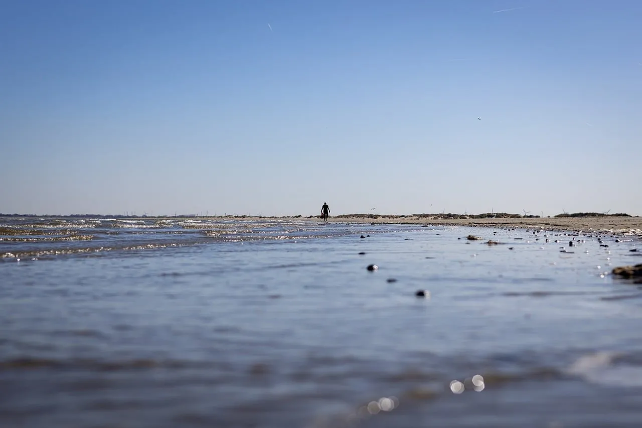 Serene Shore: Solitary Stroll Amidst Nature's Beauty