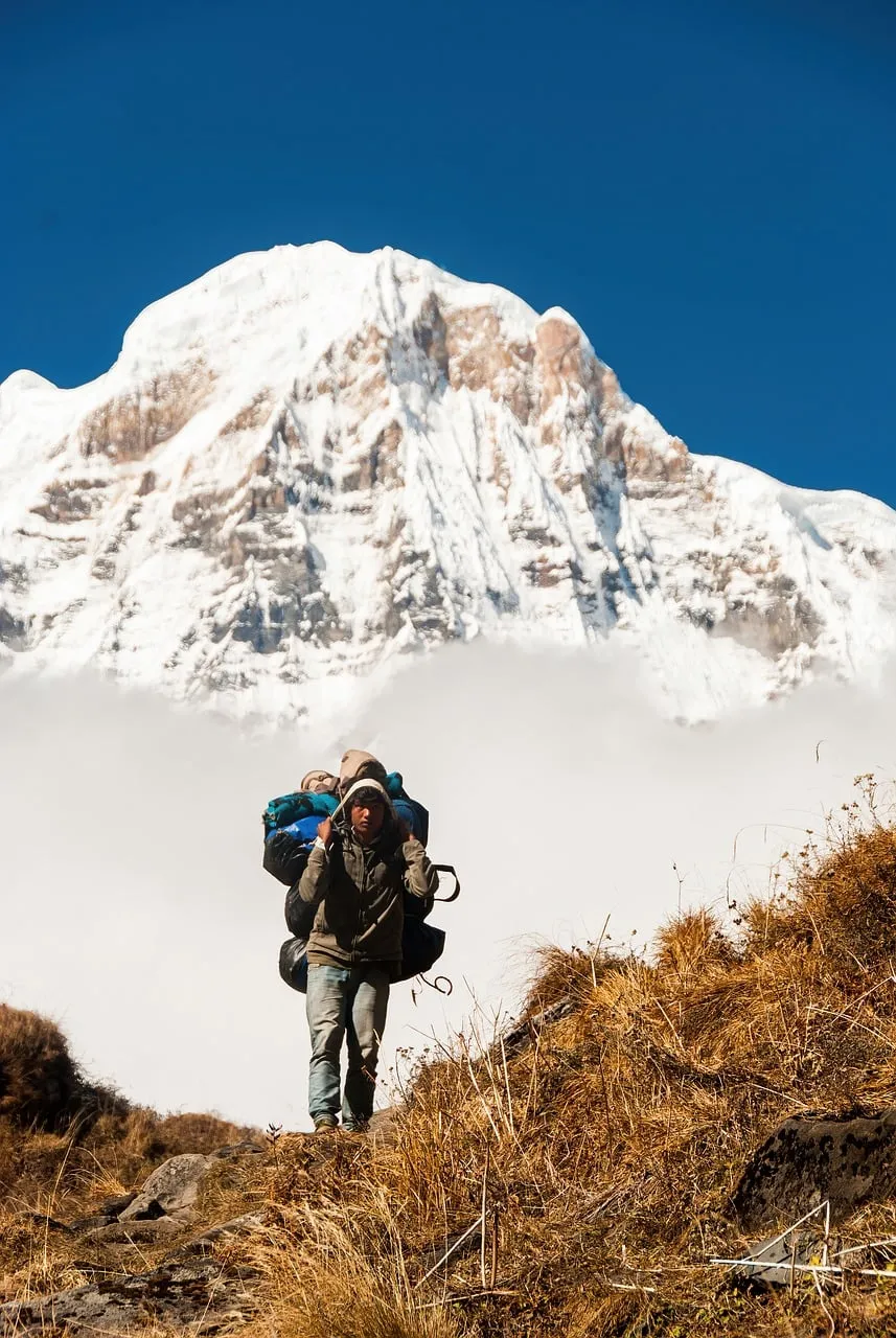 Himalayan Porter's Ascent: Majestic Annapurna Backdrop