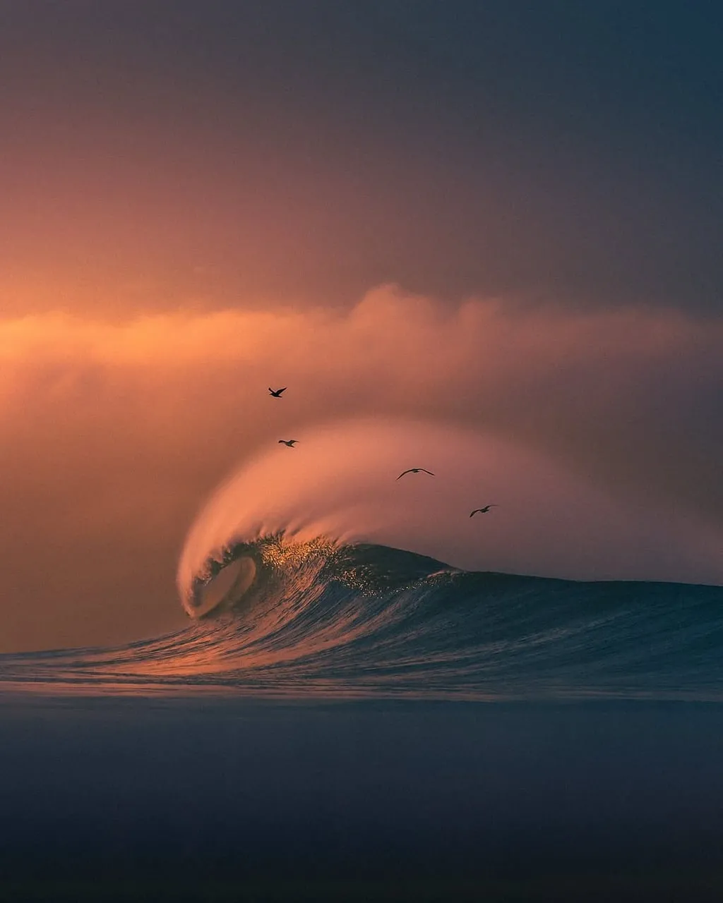 Dramatic Sunset Wave with Soaring Birds