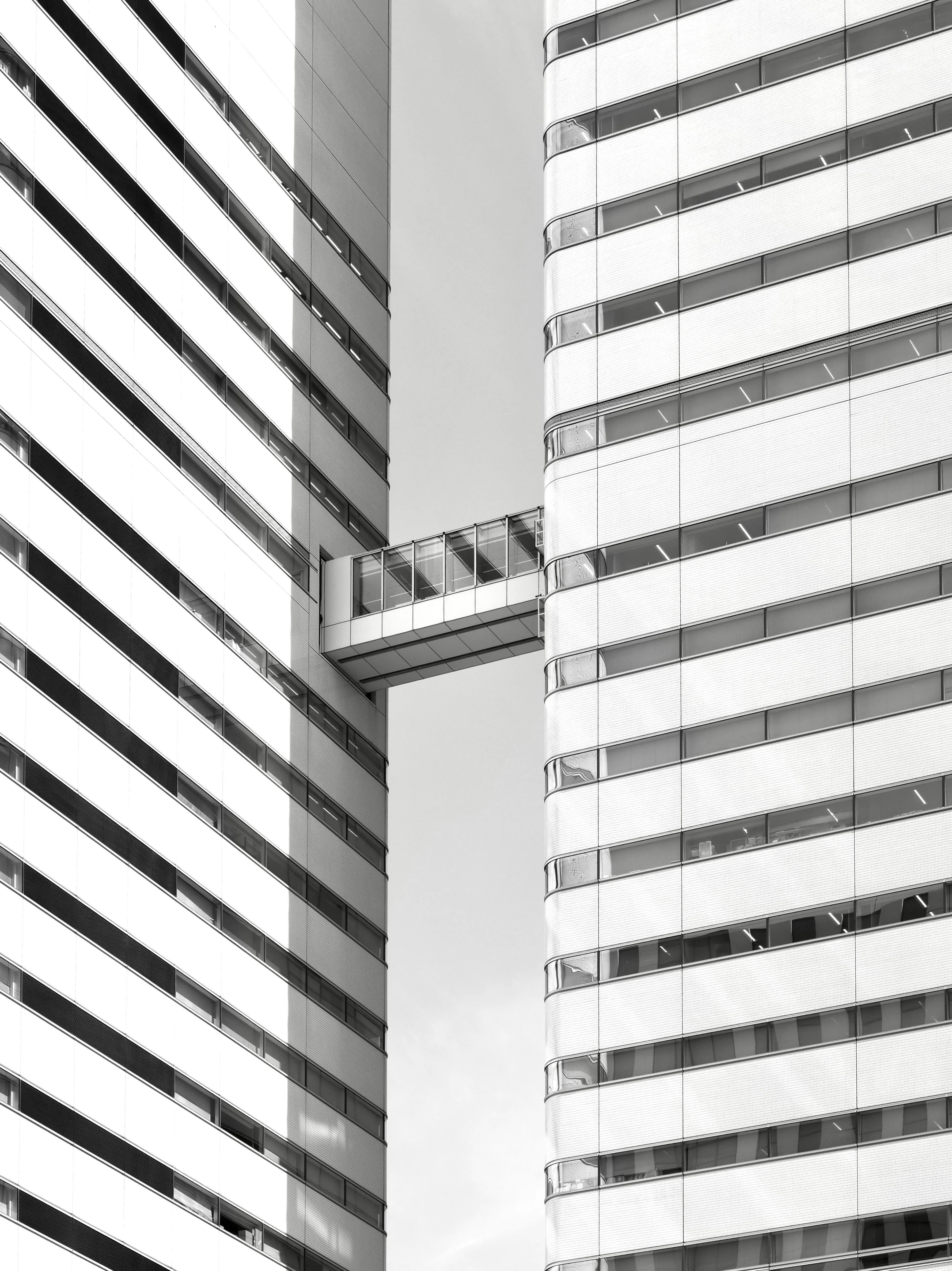 Striking Modern Architecture: Connected Urban Symmetry in Monochrome