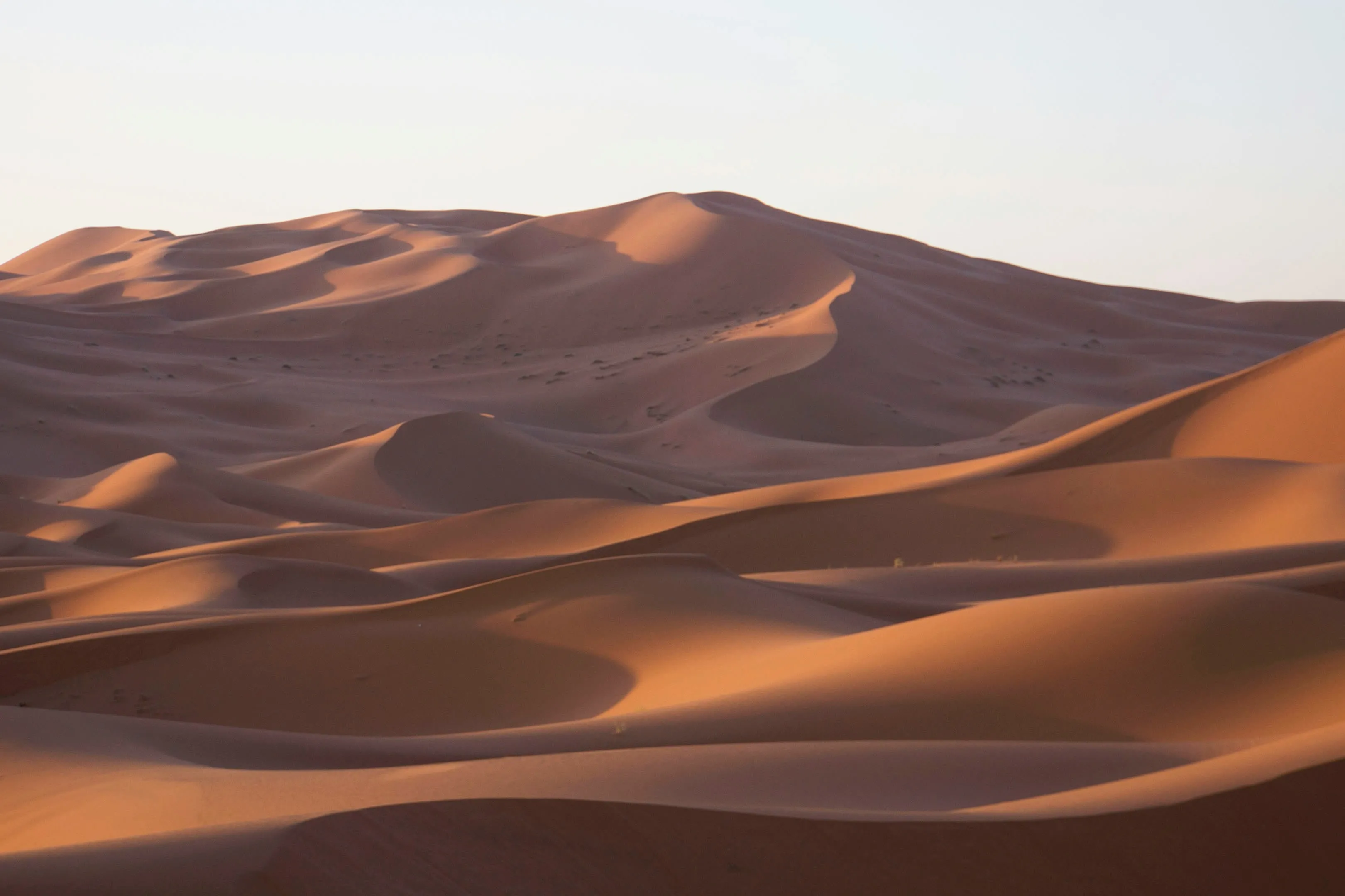 Breathtaking Desert Dunes: A Serene Natural Wallpaper
