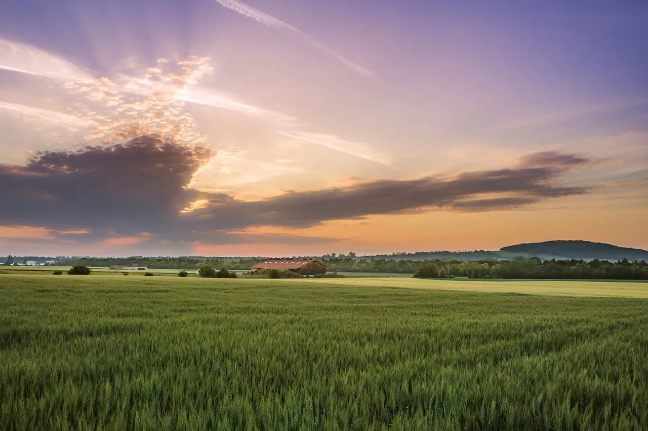 Breathtaking Sunset over Tranquil Agricultural Fields