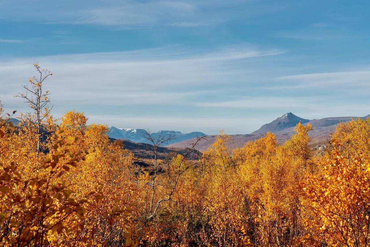 Golden Autumn Mountains: Breathtaking Fall Foliage Landscape