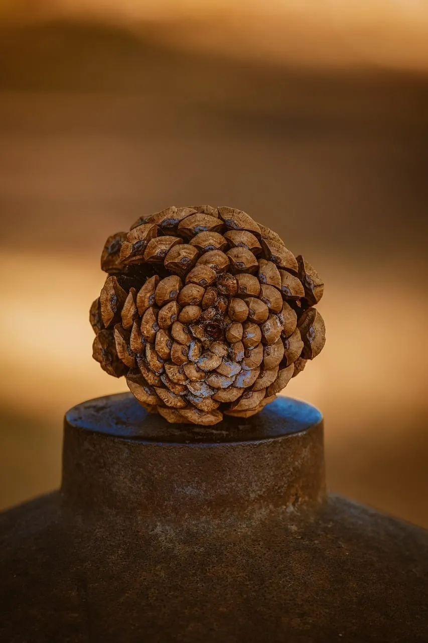 Rustic Autumn Pinecone Macro: Nature's Intricate Beauty