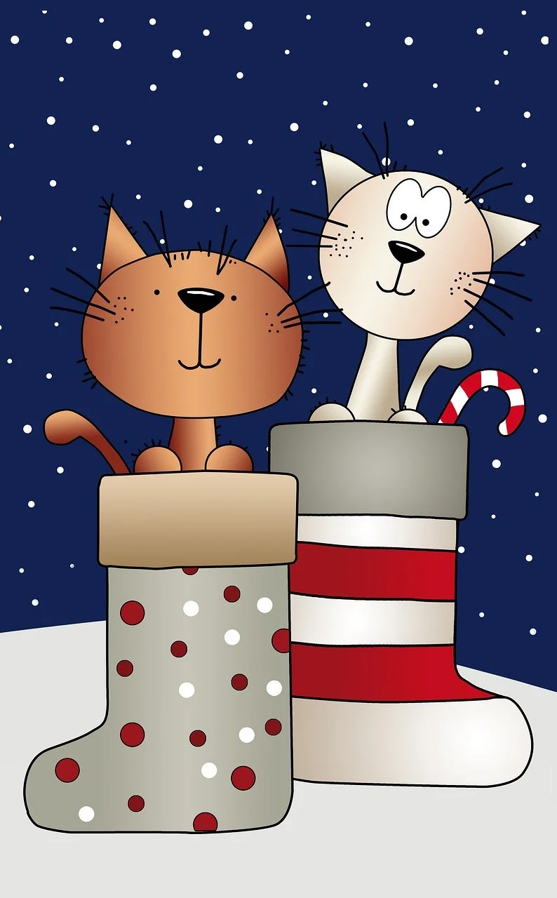 Charming Feline Duo in Festive Christmas Stockings