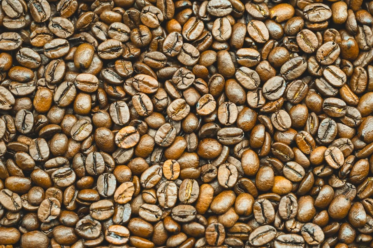 Rich Aromatic Roast: Close-up of Premium Coffee Beans