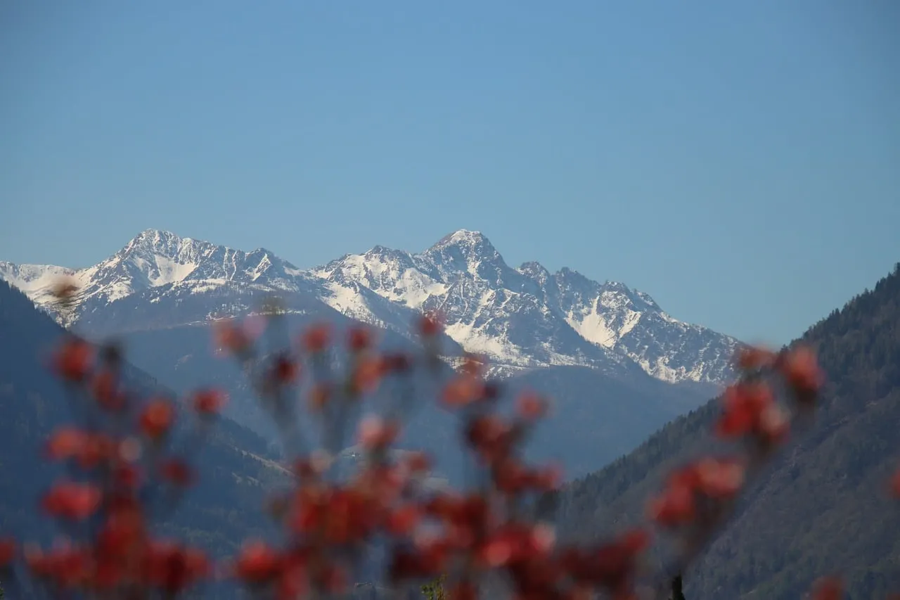 Majestic Snow-Capped Peaks with Autumnal Charm