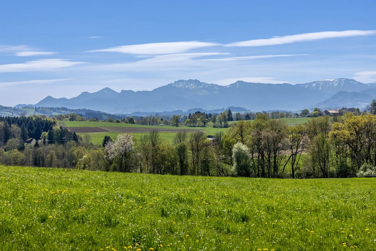 Breathtaking Alpine Panorama: Serene Spring Meadows & Majestic Peaks