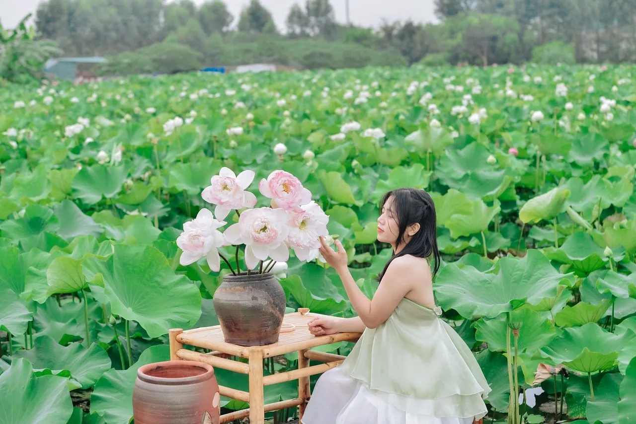 Serene Blossom: Asian Woman Amidst a Vibrant Lotus Field