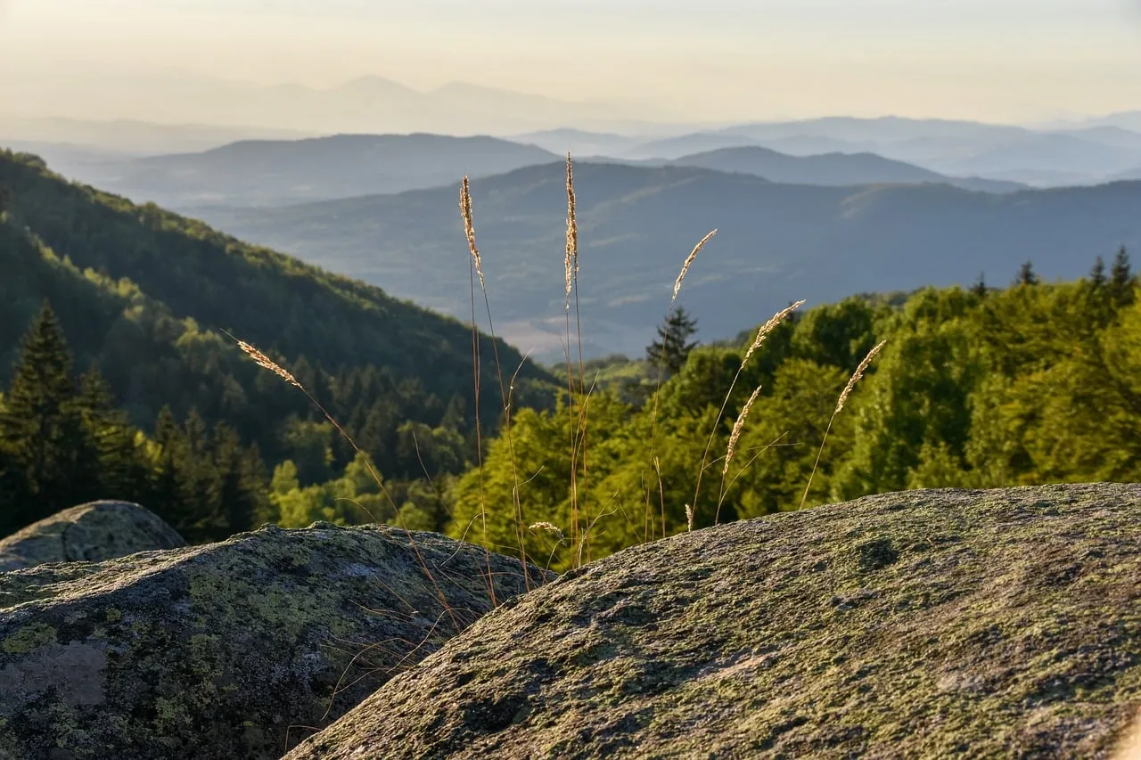 Breathtaking Mountain Vistas: Serene Forest Landscape at Sunset