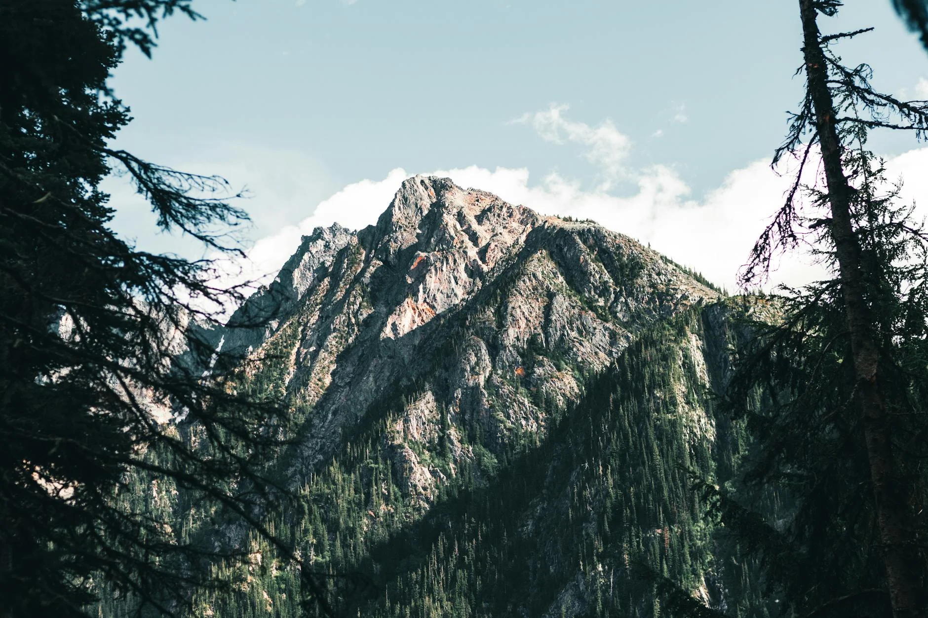 Majestic Peaks: A Glimpse Through Verdant Pines