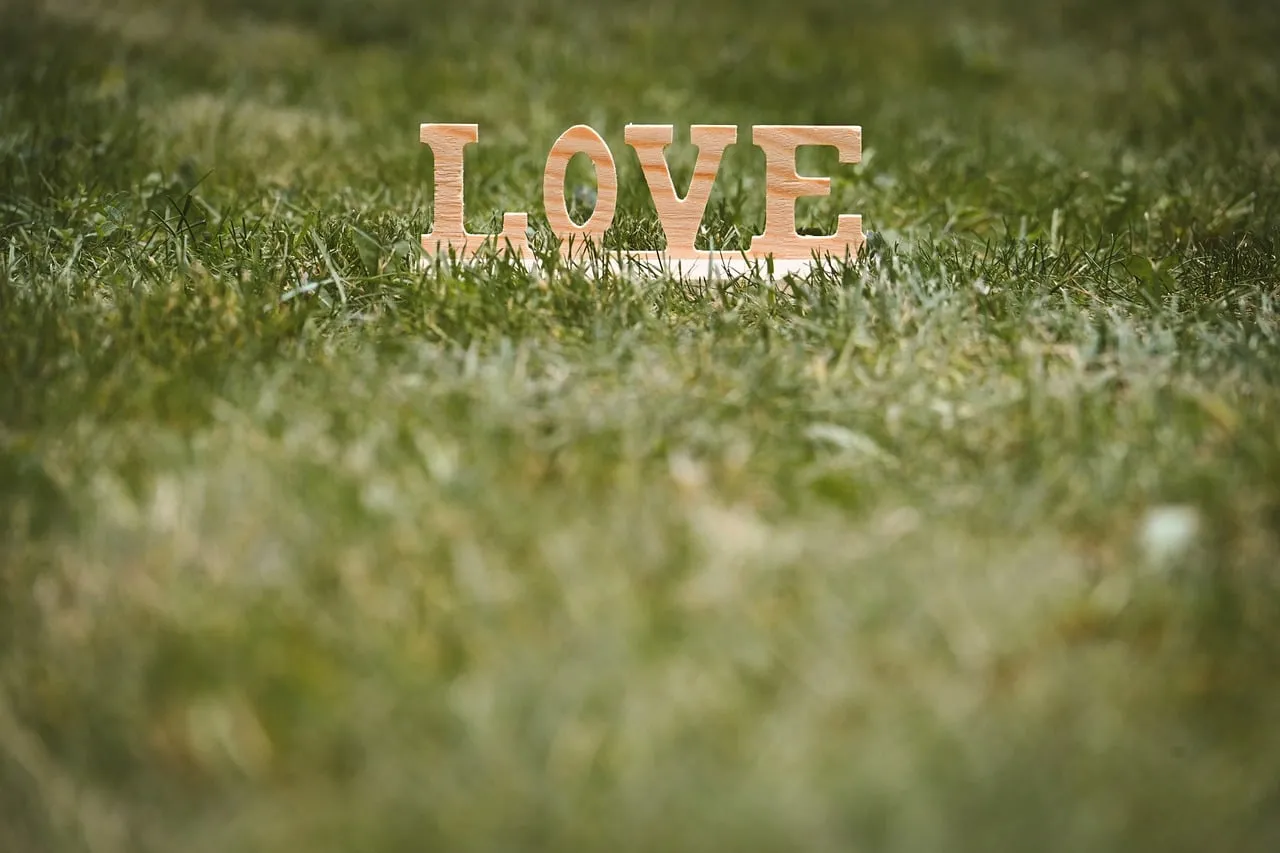 Inspiring Wooden Love: A Symbol of Affection on Green Grass