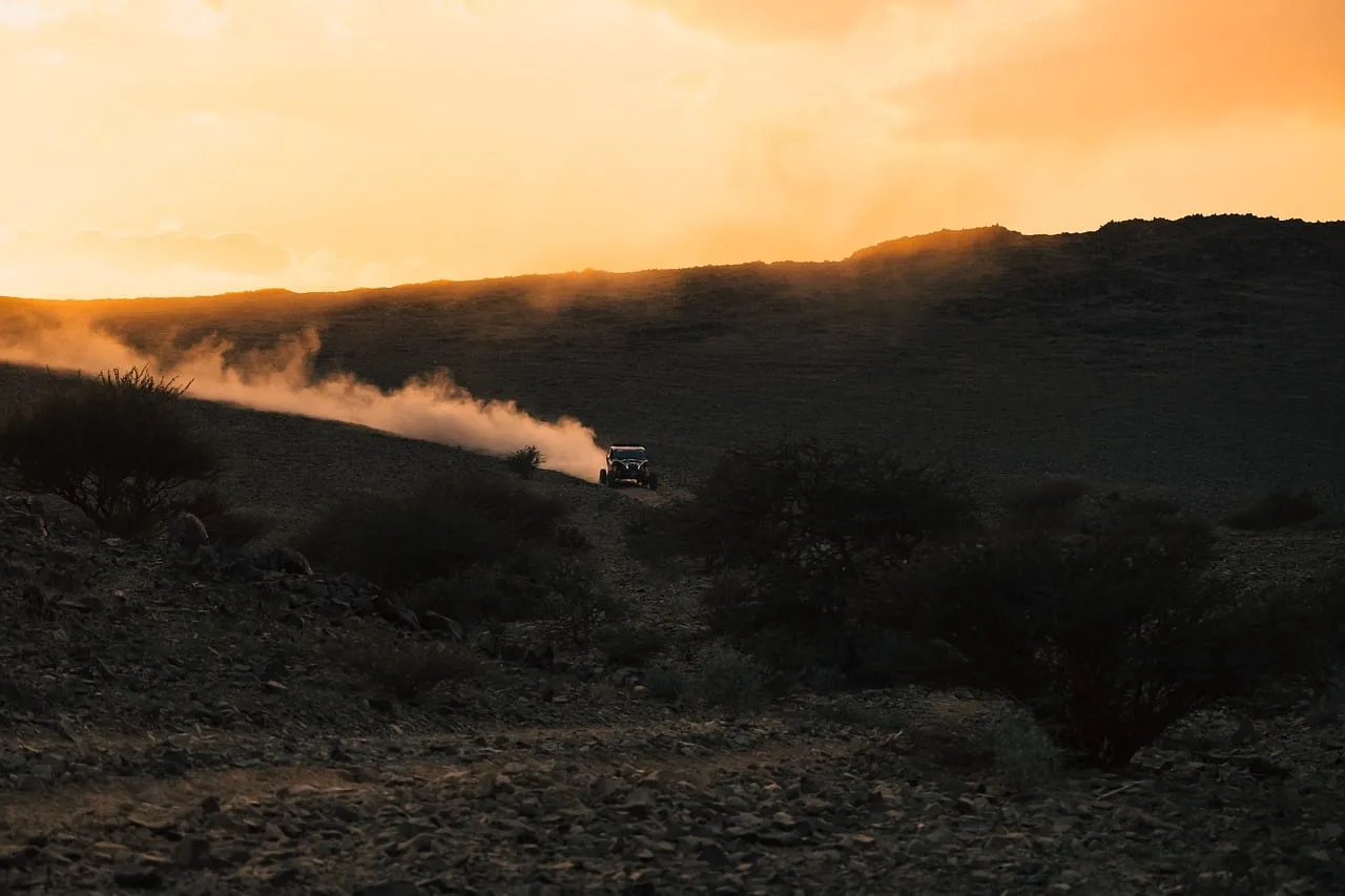 Adrenaline Rush: Desert Rally at Sunset