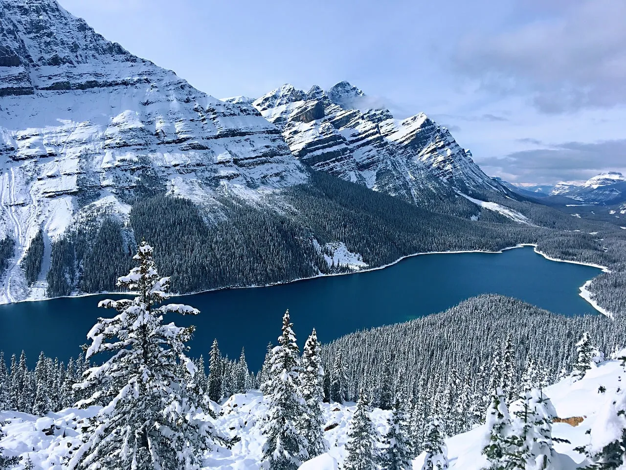 Breathtaking Winter Wonderland: Peyto Lake's Icy Embrace