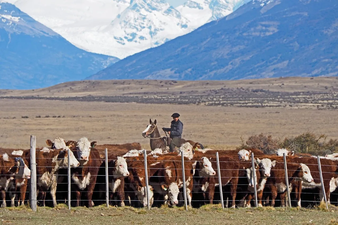 Patagonian Herdsman: Majestic Mountains and Ranch Life