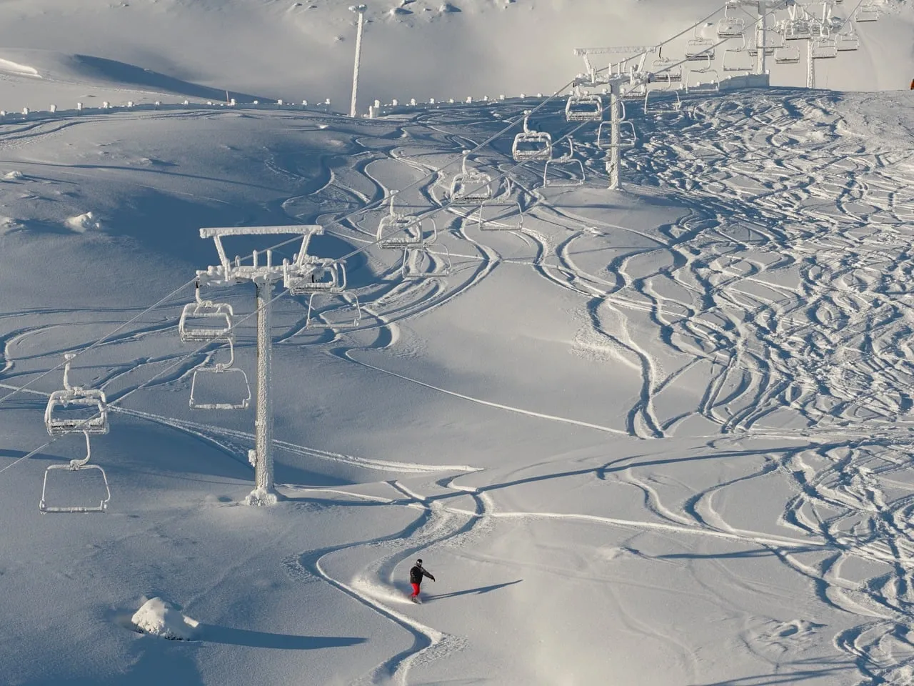 Adrenaline-fueled Alpine Descent: Skiing Through Fresh Powder