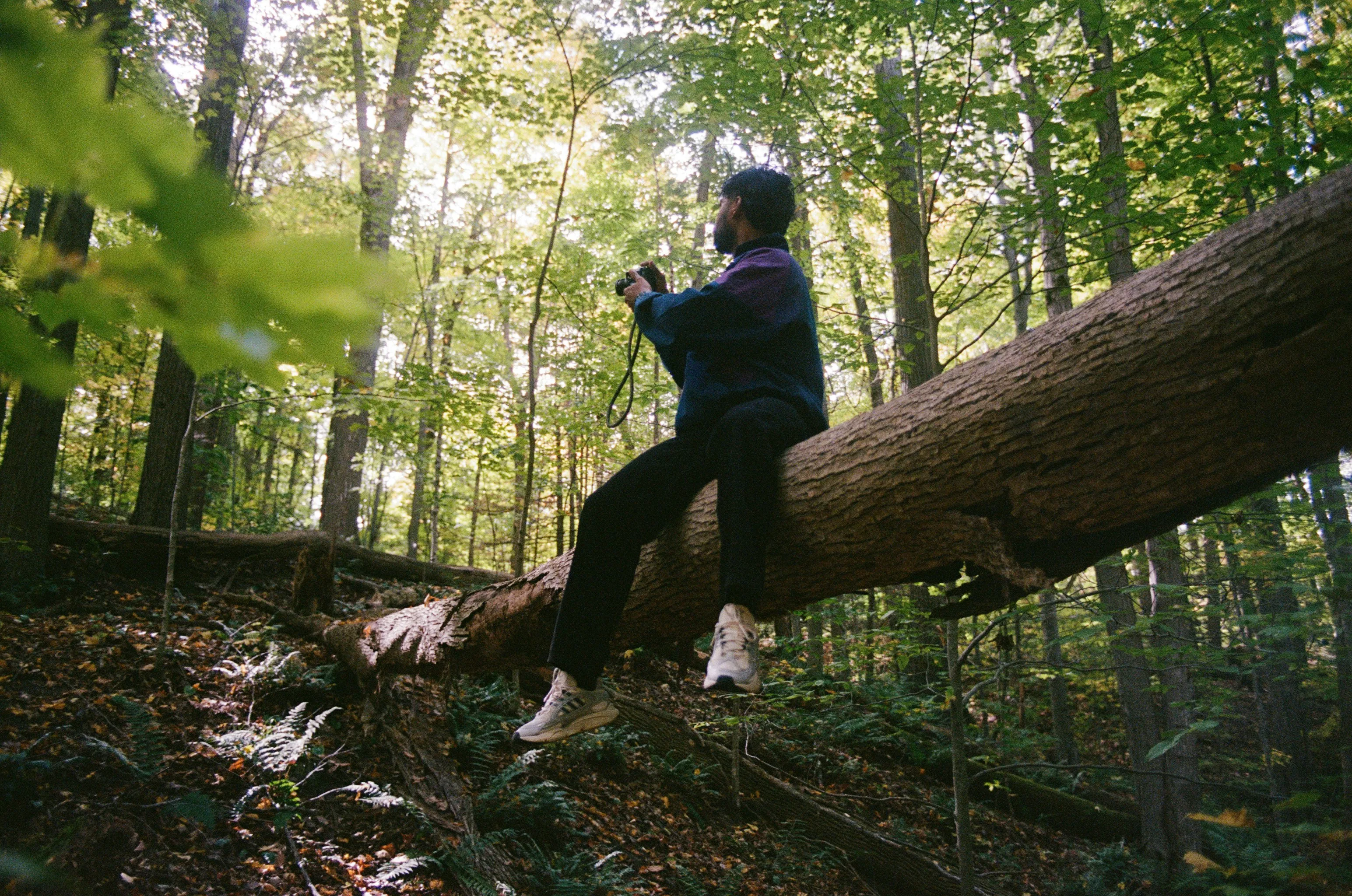 Enigmatic Forest Wanderer: Man Reflects on Fallen Tree