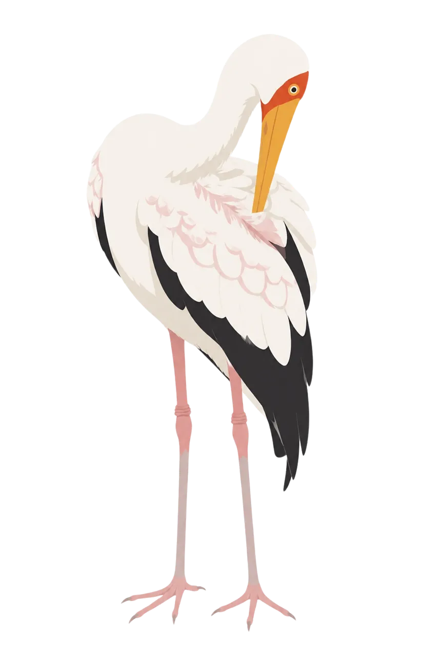Elegant White Stork: A Striking Digital Illustration of Wetland Wildlife