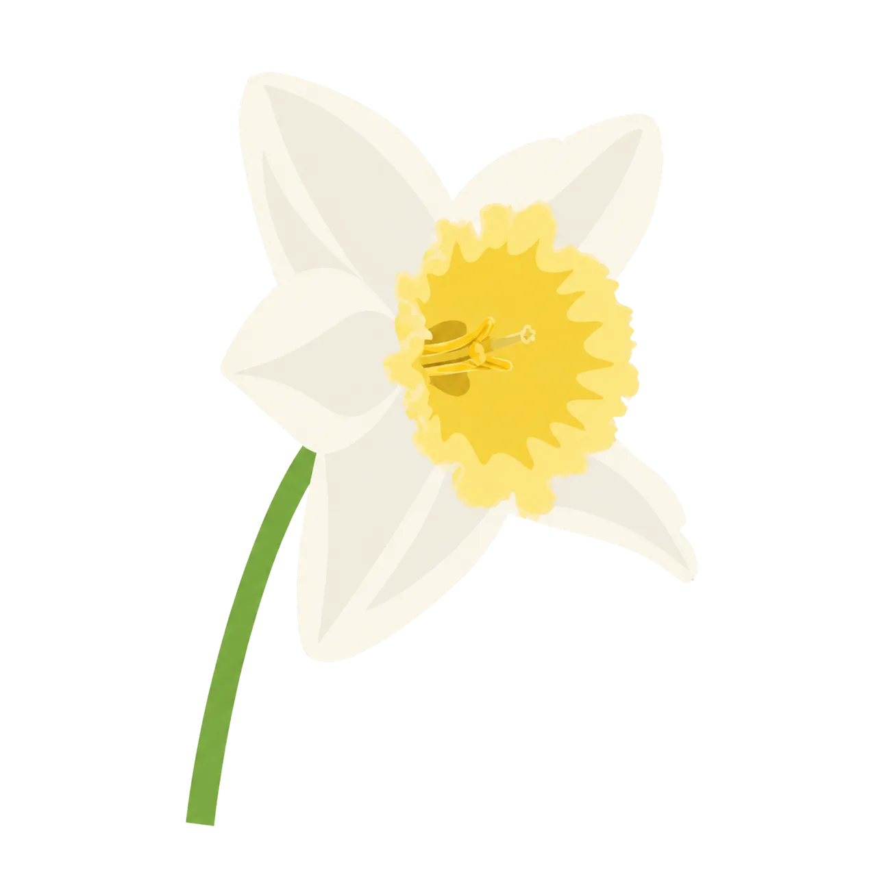 Vibrant Spring Daffodil: Fresh Botanical Illustration