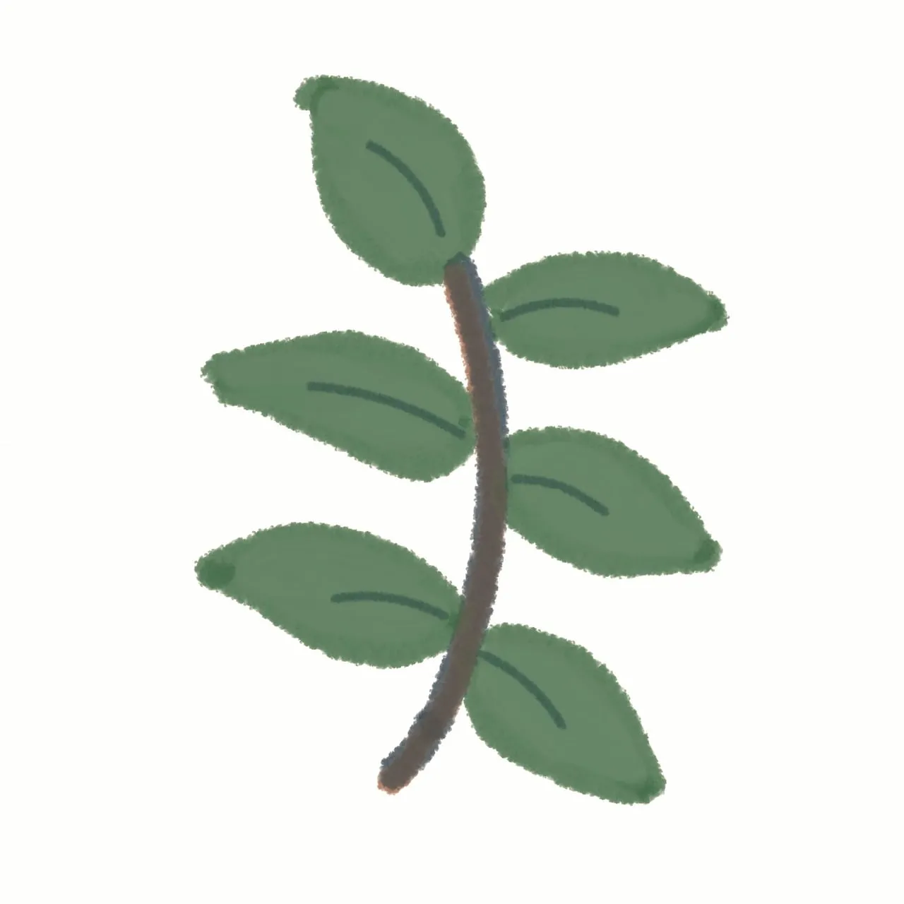 Vibrant Green Leaf Branch Illustration for Nature-Inspired Designs